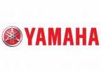 Yamaha Motor (1998)